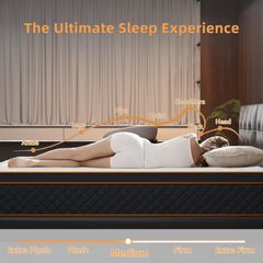 Mattress Memory Foam Hybrid Mattress in a Box, Medium Firm and Individually Pocket Springs - Pressure Relief, CertiPUR-US Certified, Motion Isolation